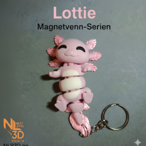 Magnetvenn Lottie
